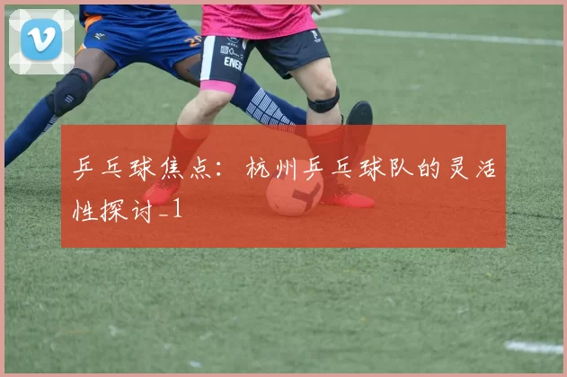 乒乓球焦点：杭州乒乓球队的灵活性探讨_1