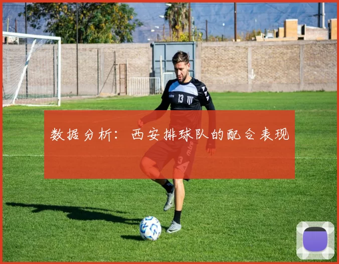 数据分析：西安排球队的配合表现
