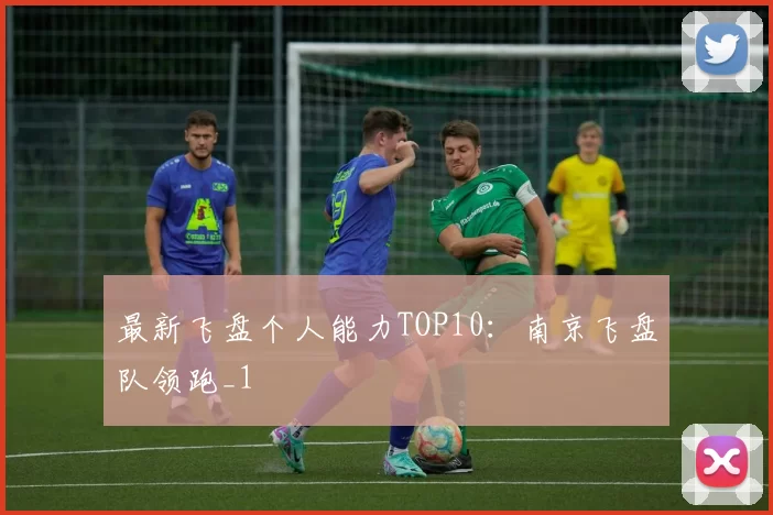 最新飞盘个人能力TOP10：南京飞盘队领跑_1