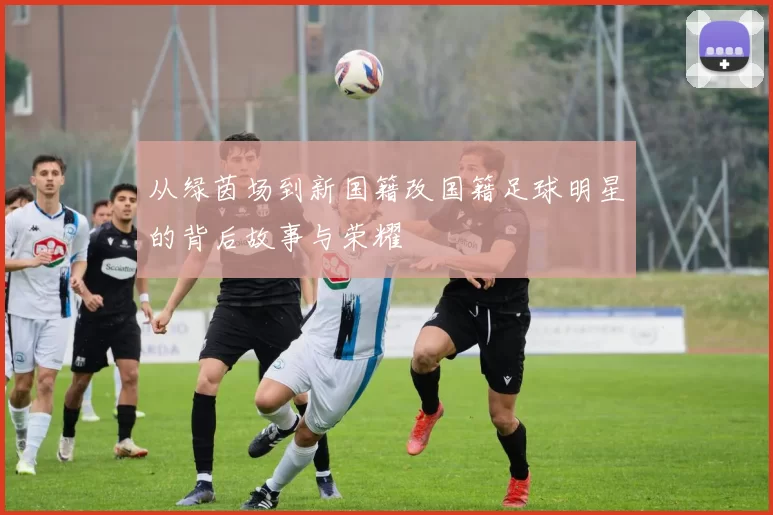 从绿茵场到新国籍改国籍足球明星的背后故事与荣耀