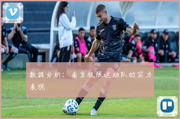 数据分析：南京极限运动队的实力表现